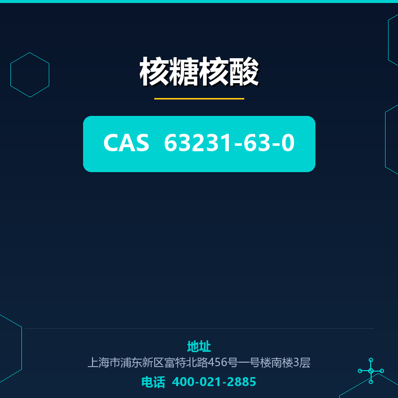 核糖核酸