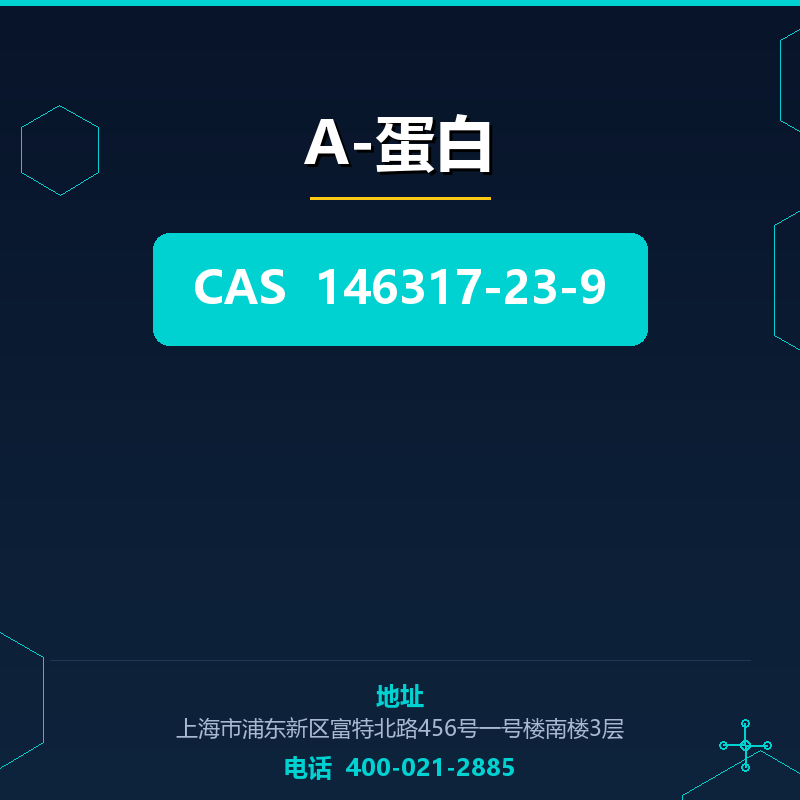 Α-蛋白