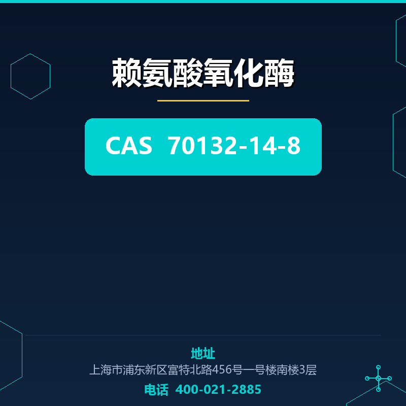 赖氨酸氧化酶 70132-14-8
