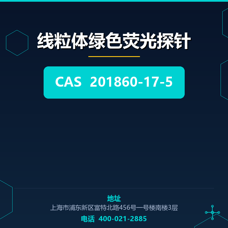 线粒体绿色荧光探针