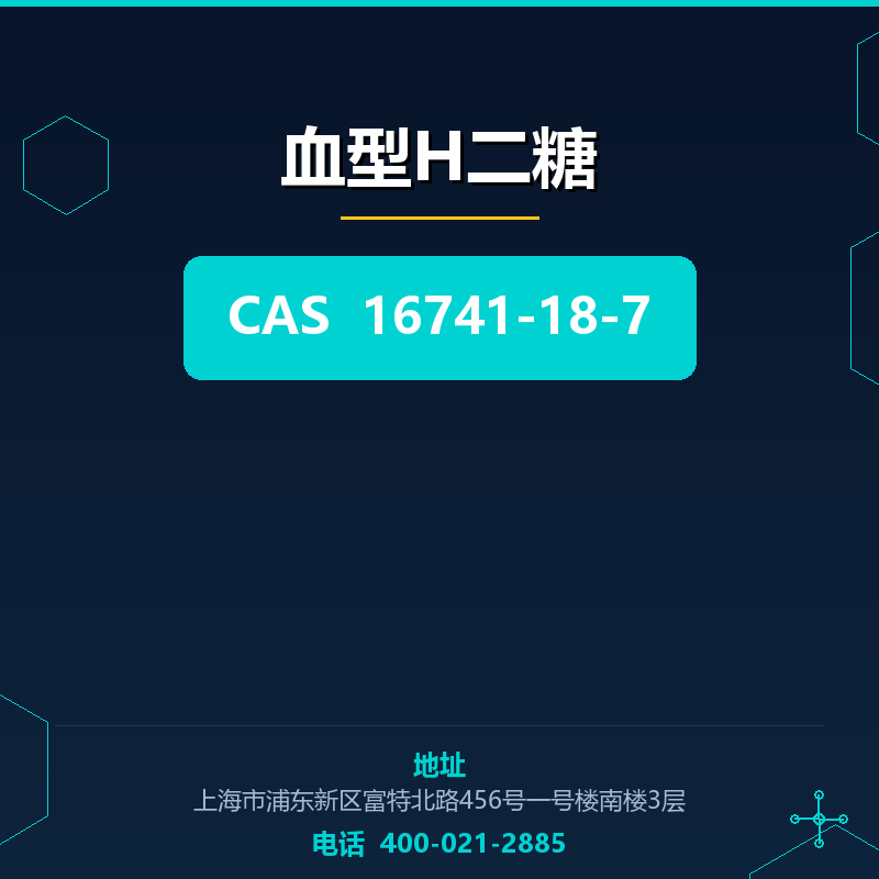血型H二糖
