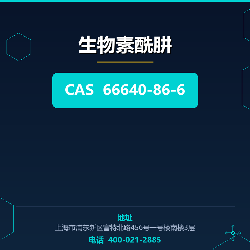生物素酰肼 66640-86-6