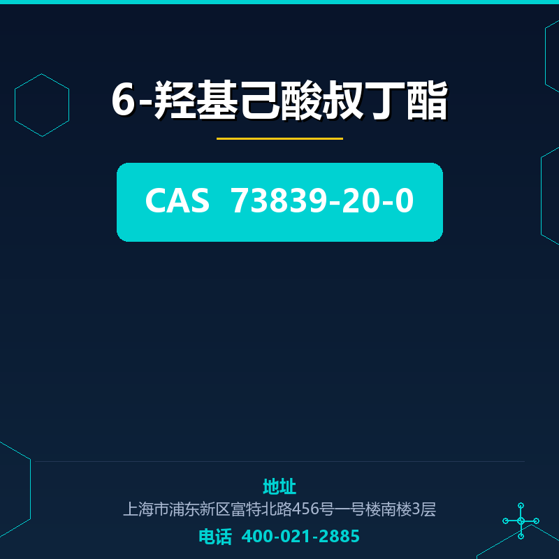 6-羟基己酸叔丁酯 73839-20-0