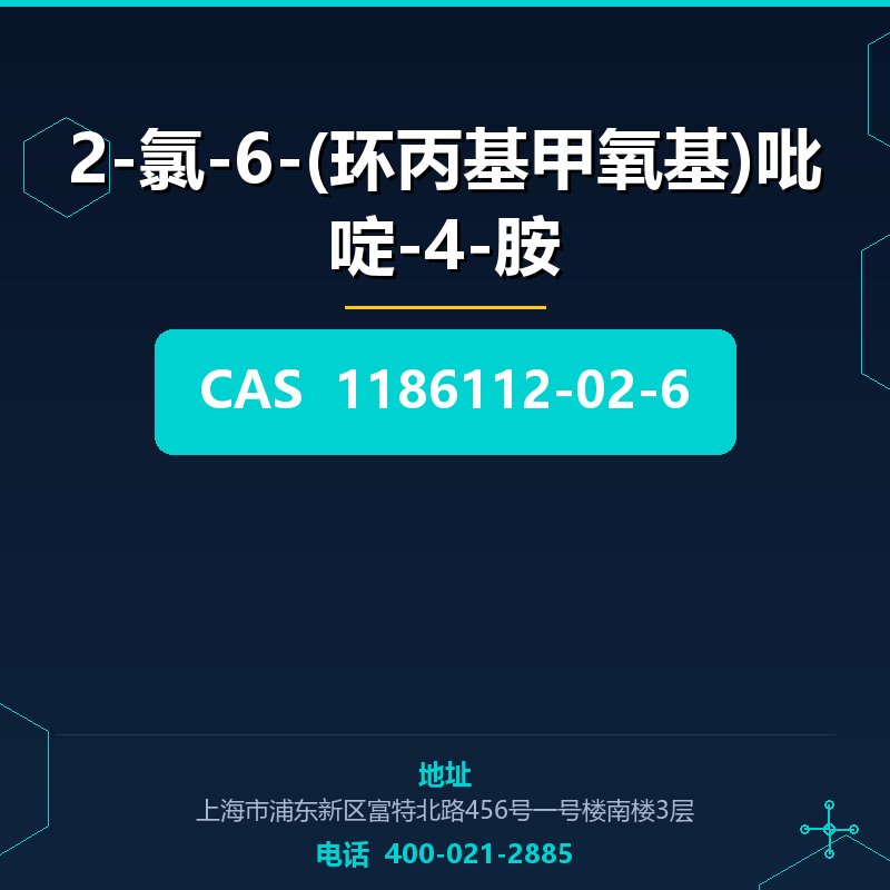 2-氯-6-(环丙基甲氧基)吡啶-4-胺