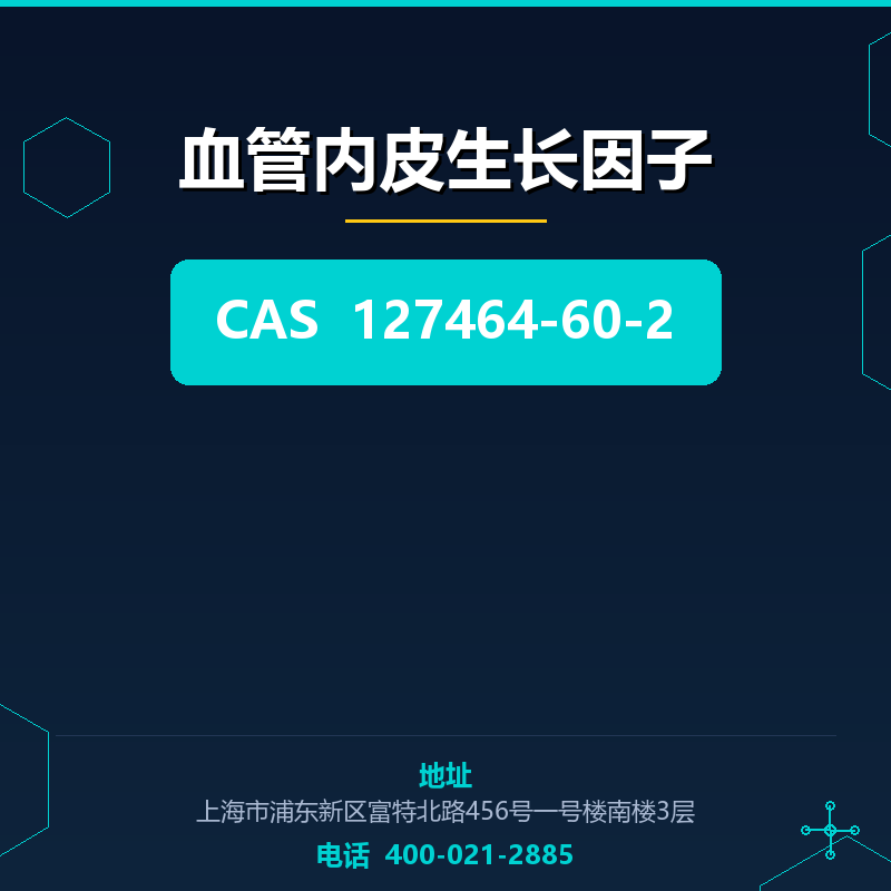 血管内皮生长因子