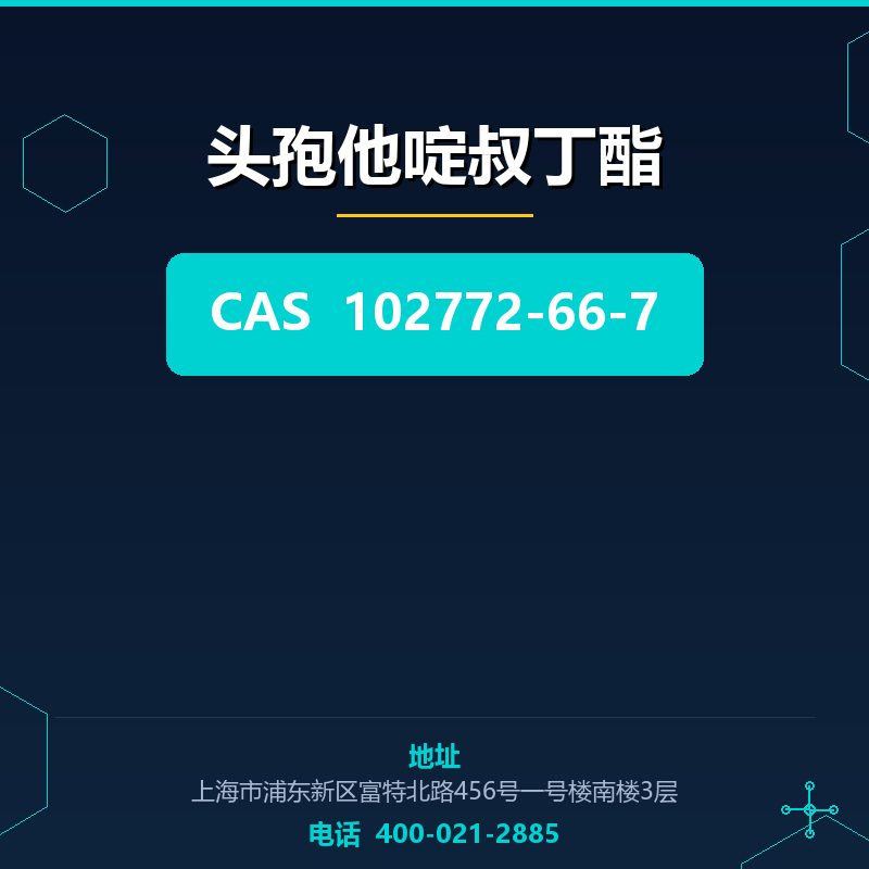 头孢他啶叔丁酯