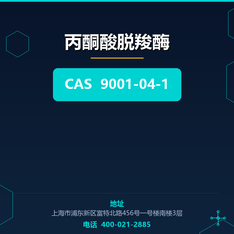 丙酮酸脱羧酶