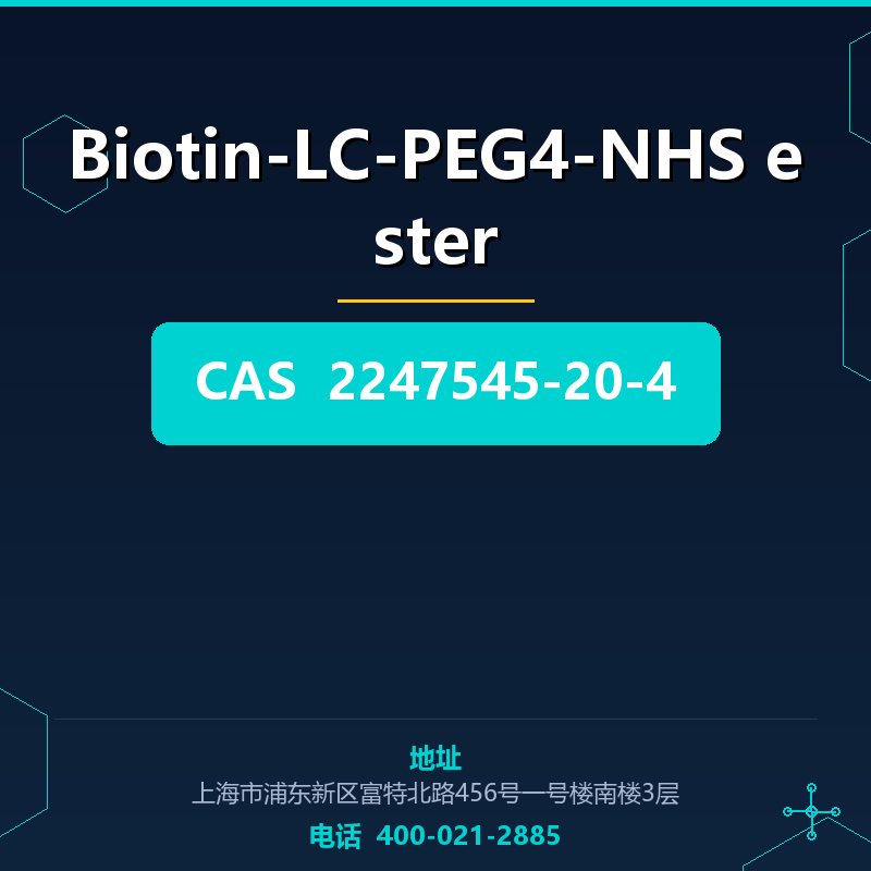 Biotin-LC-PEG4-NHS ester