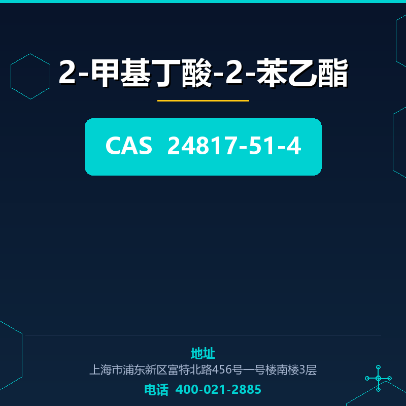 2-甲基丁酸-2-苯乙酯 24817-51-4