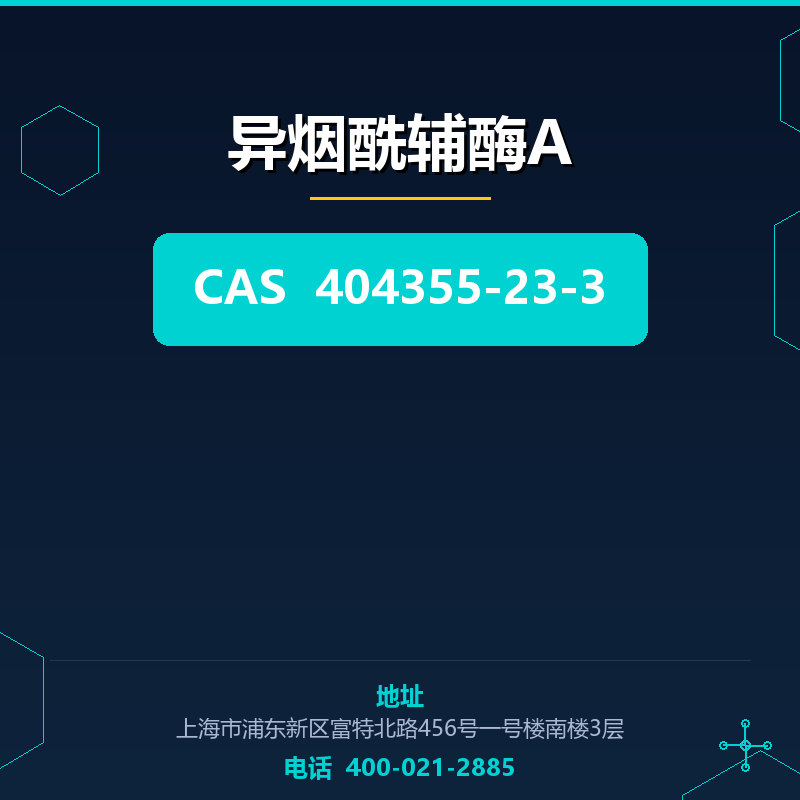 异烟酰辅酶A