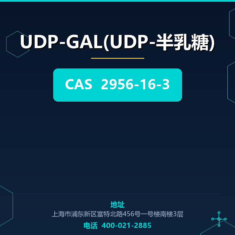 UDP-GAL(UDP-半乳糖)