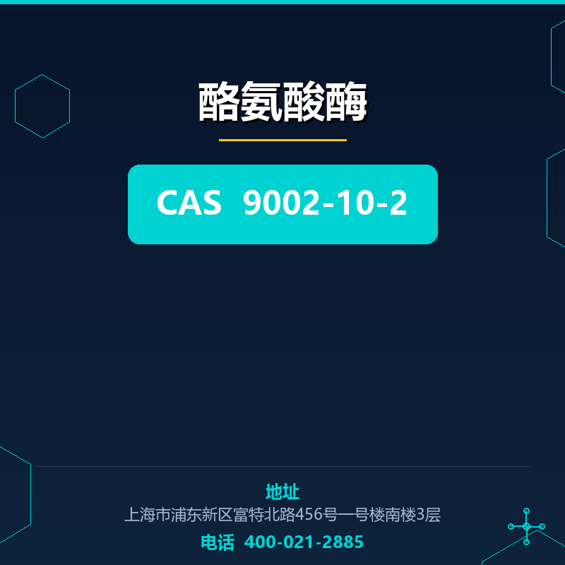 酪氨酸酶
