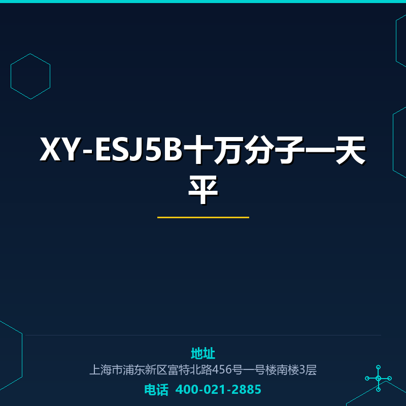 XY-ESJ5B十万分子一天平