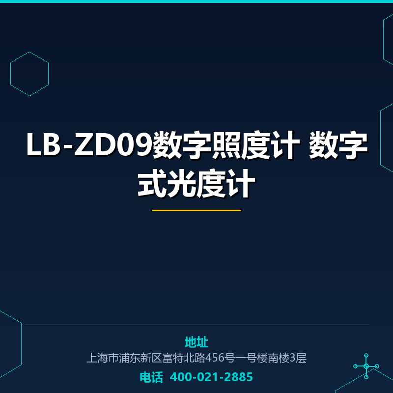 LB-ZD09数字照度计 数字式光度计