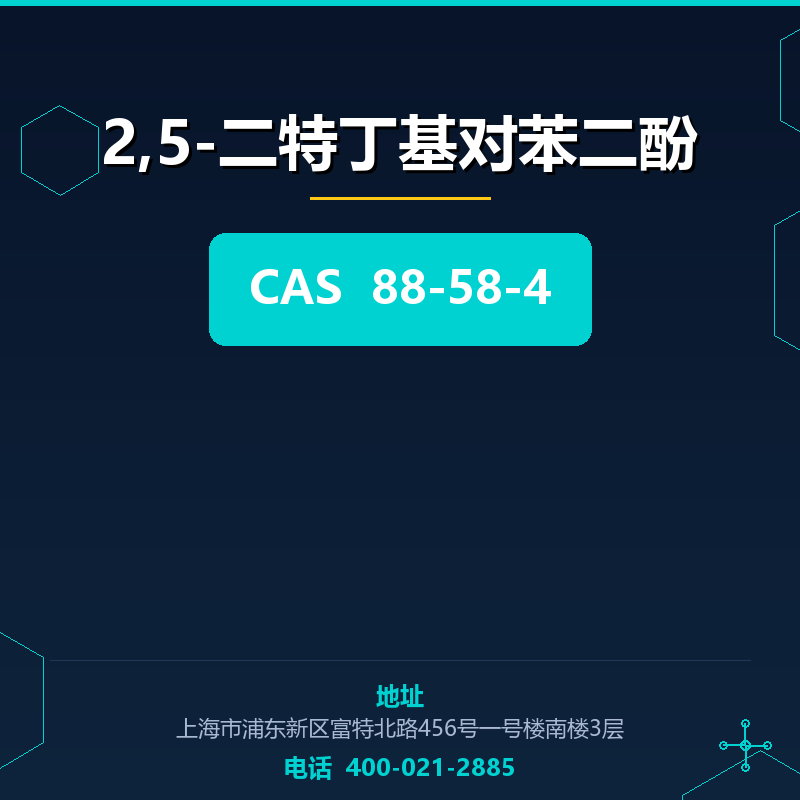 2,5-二特丁基对苯二酚 88-58-4