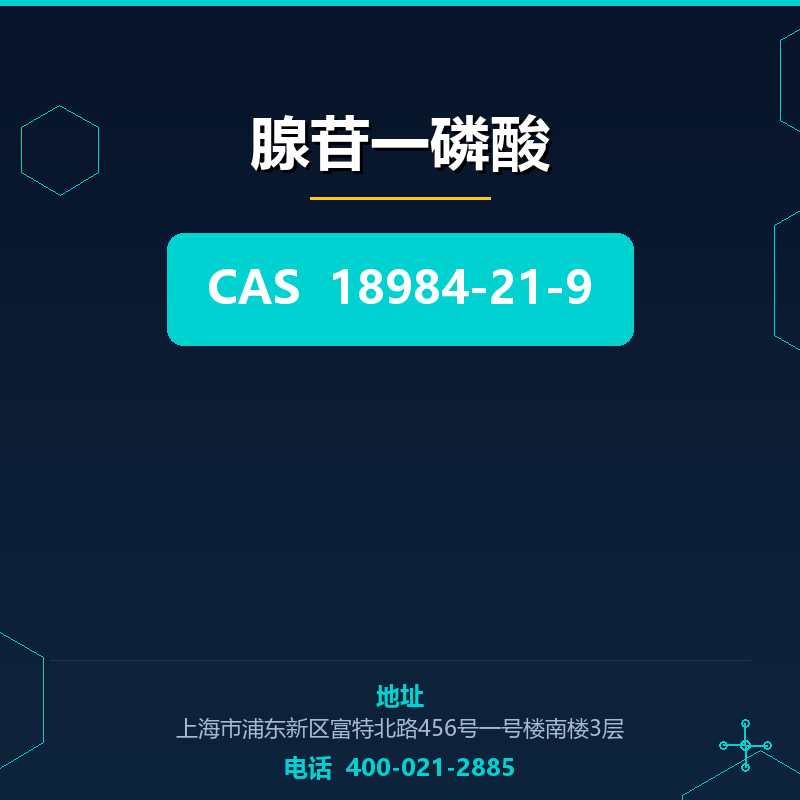 腺苷一磷酸