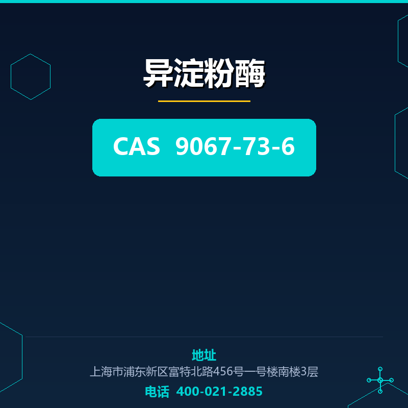 异淀粉酶