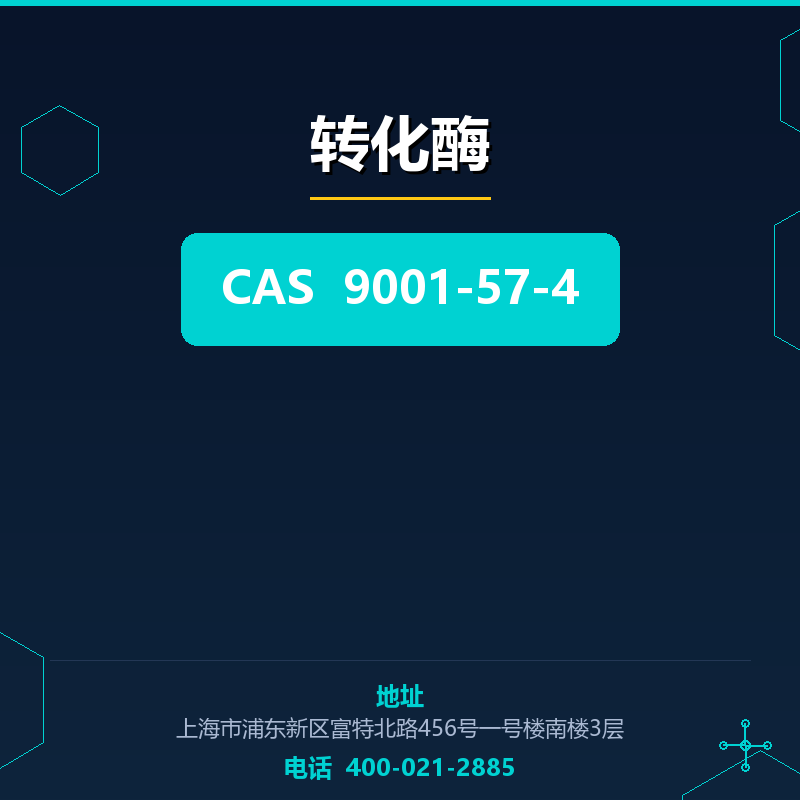转化酶 9001-57-4