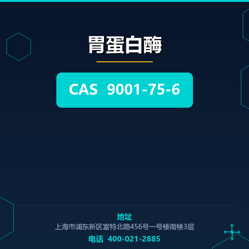 胃蛋白酶