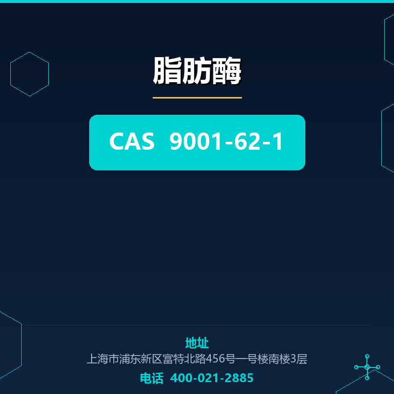 脂肪酶 9001-62-1