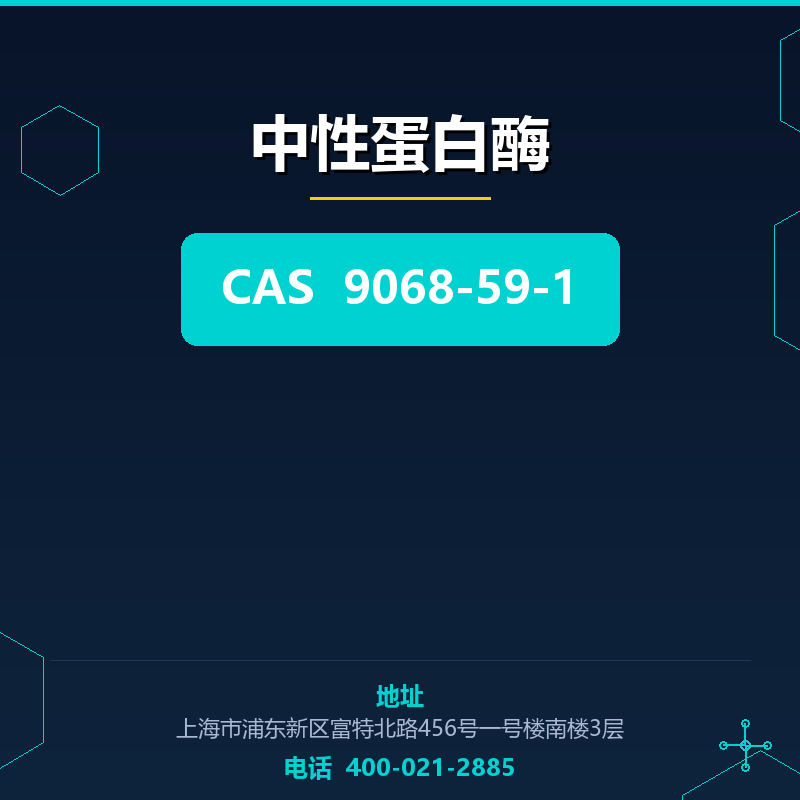 中性蛋白酶