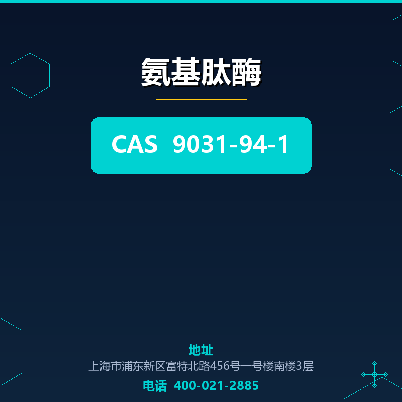 氨基肽酶 9031-94-1