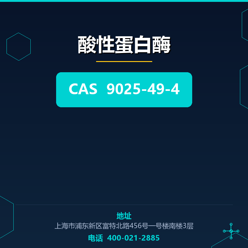 酸性蛋白酶 9025-49-4