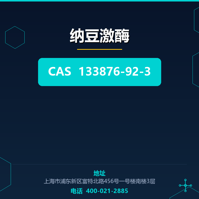 纳豆激酶