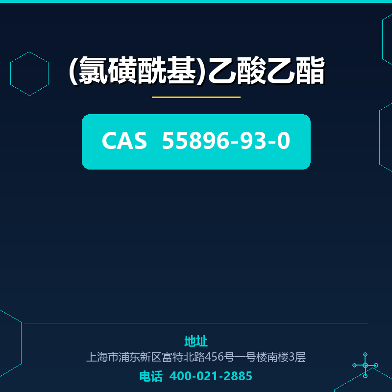 (氯磺酰基)乙酸乙酯 55896-93-0