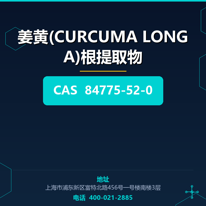 姜黄(CURCUMA LONGA)根提取物 84775-52-0