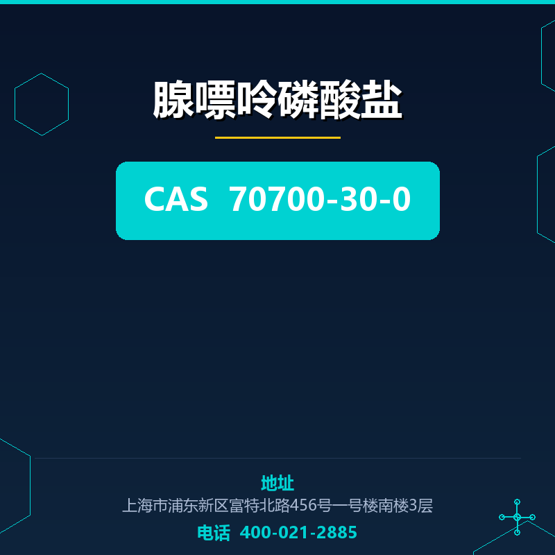 腺嘌呤磷酸盐 70700-30-0