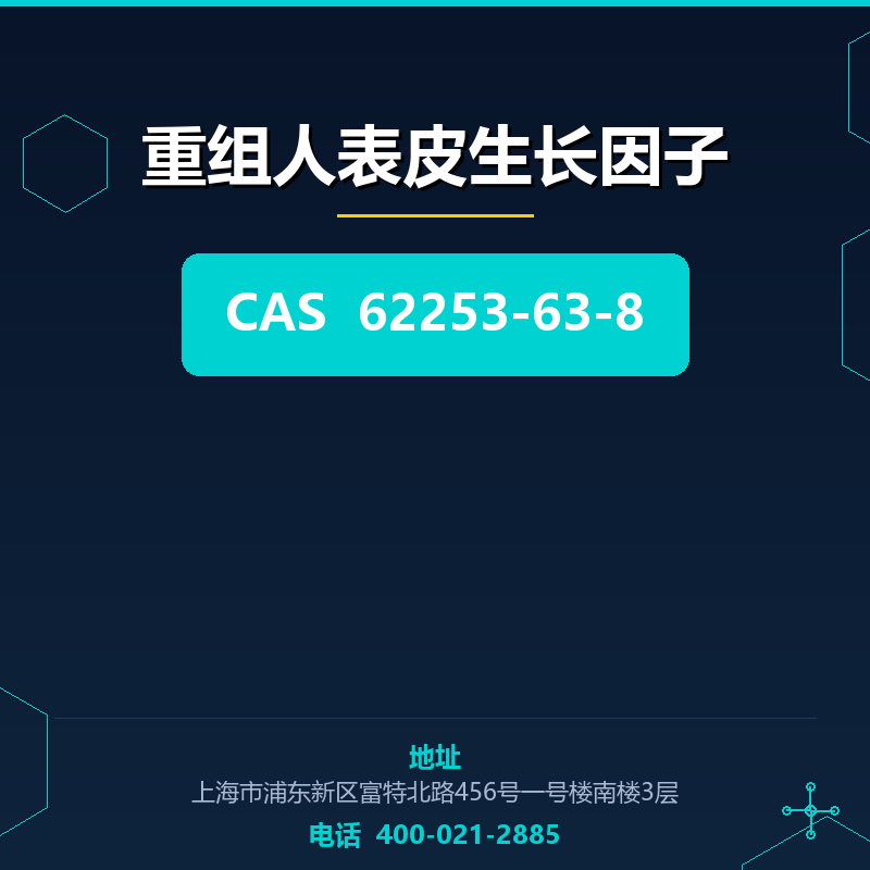 重组人表皮生长因子