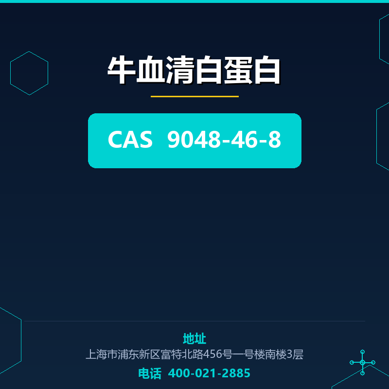 牛血清白蛋白