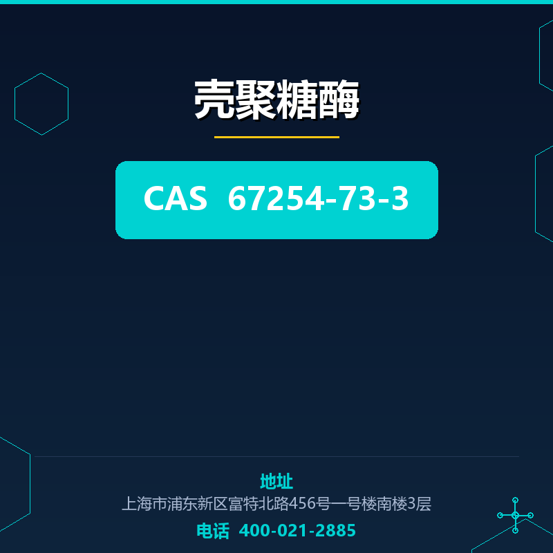 壳聚糖酶