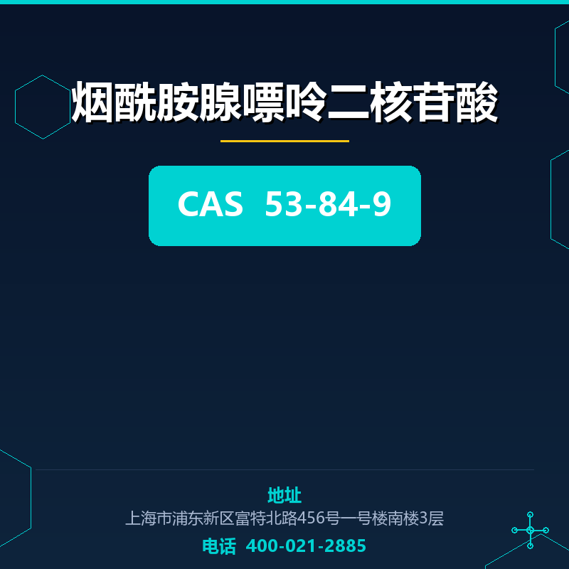 烟酰胺腺嘌呤二核苷酸