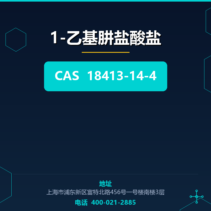 1-乙基肼盐酸盐