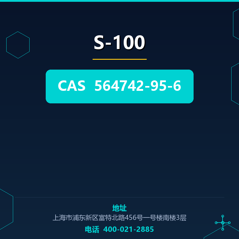 S-100