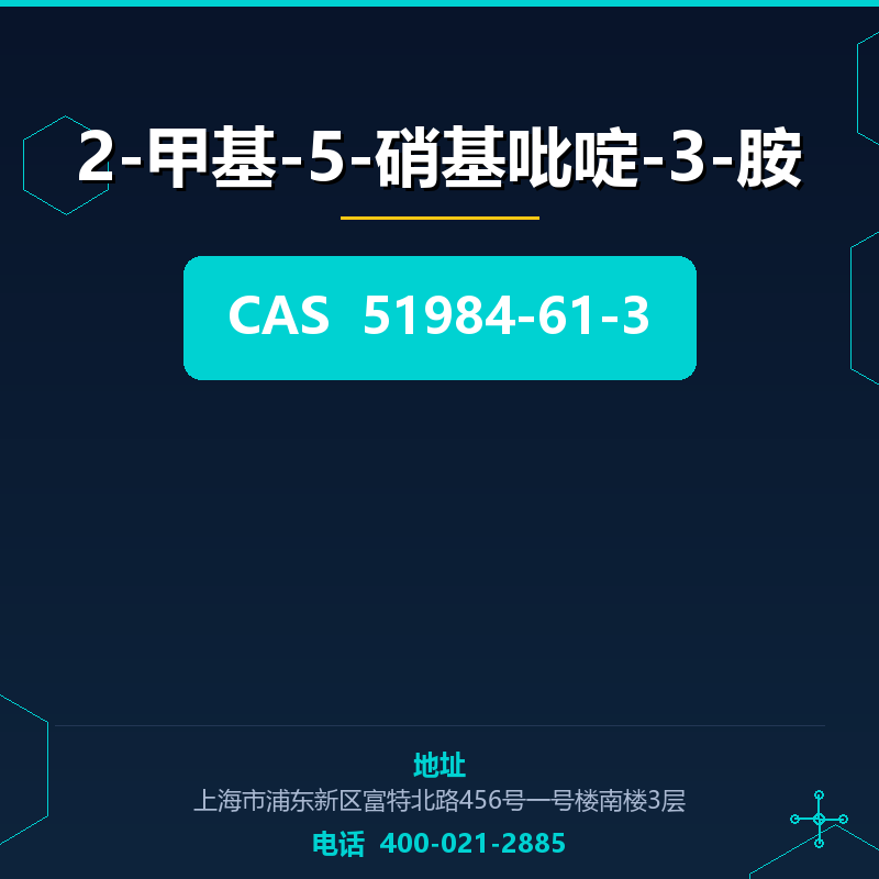 2-甲基-5-硝基吡啶-3-胺 51984-61-3