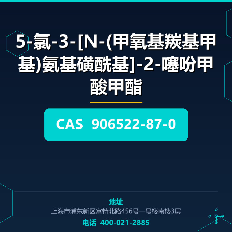 5-氯-3-[N-(甲氧基羰基甲基)氨基磺酰基]-2-噻吩甲酸甲酯 906522-87-0