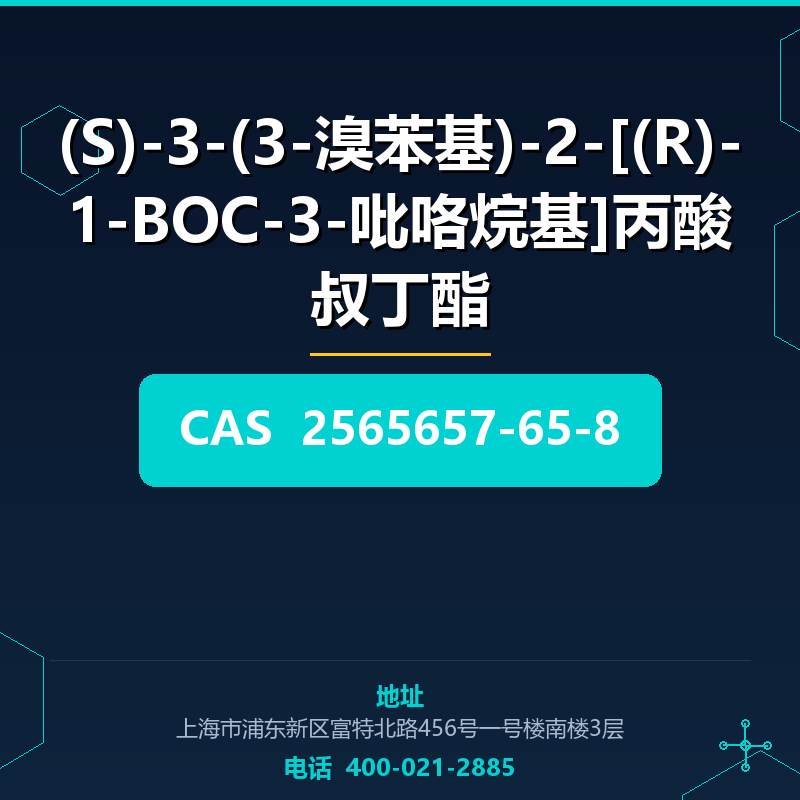 (S)-3-(3-溴苯基)-2-[(R)-1-BOC-3-吡咯烷基]丙酸叔丁酯 2565657-65-8