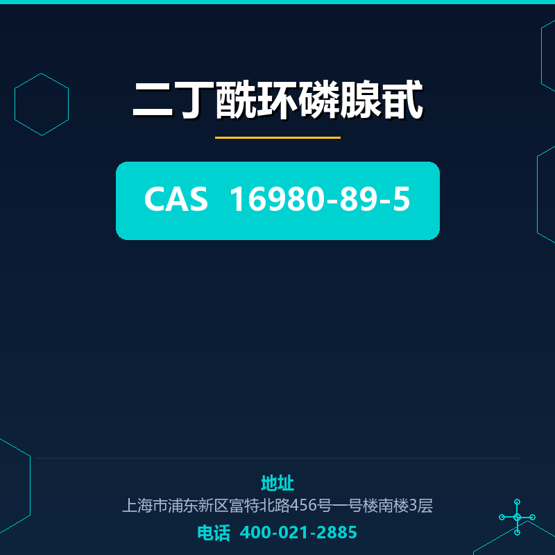 二丁酰环磷腺甙 16980-89-5