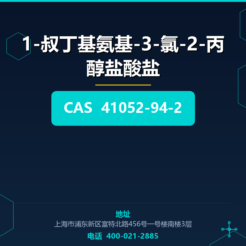 1-叔丁基氨基-3-氯-2-丙醇盐酸盐 41052-94-2