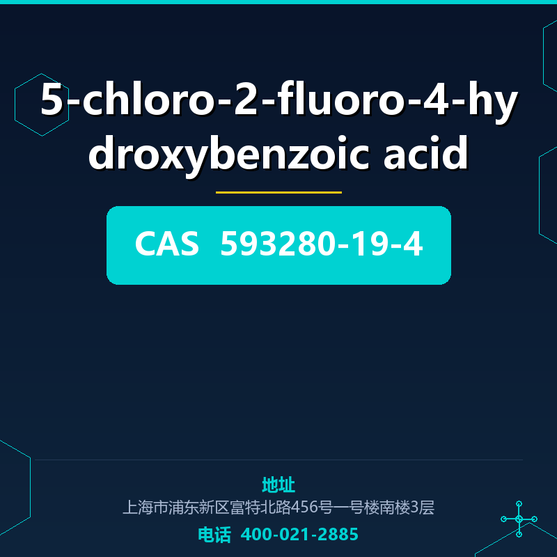 5-chloro-2-fluoro-4-hydroxybenzoic acid 593280-19-4