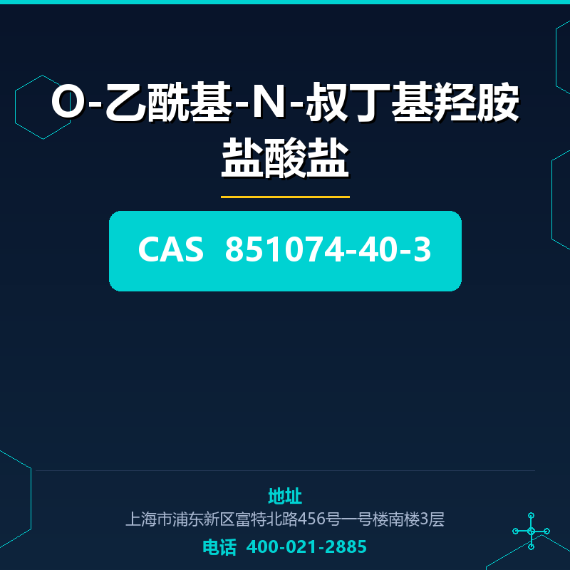 O-乙酰基-N-叔丁基羟胺盐酸盐 851074-40-3