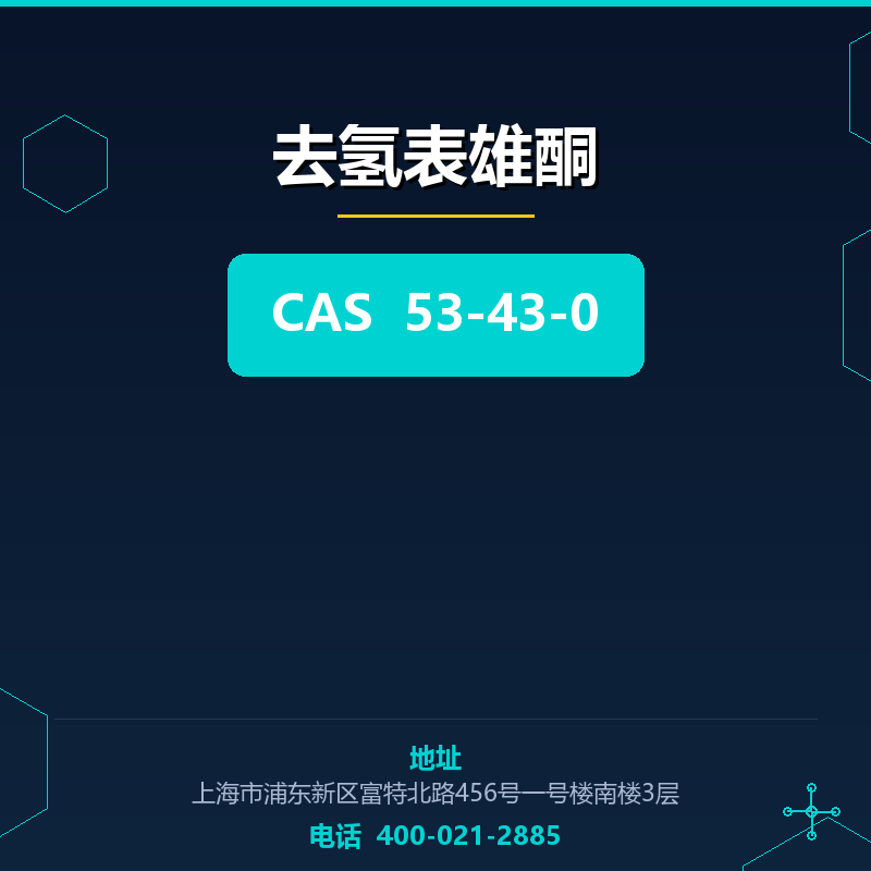 去氢表雄酮 53-43-0