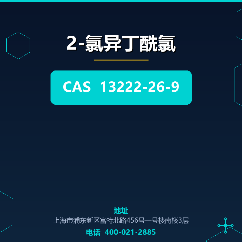 2-氯异丁酰氯 13222-26-9