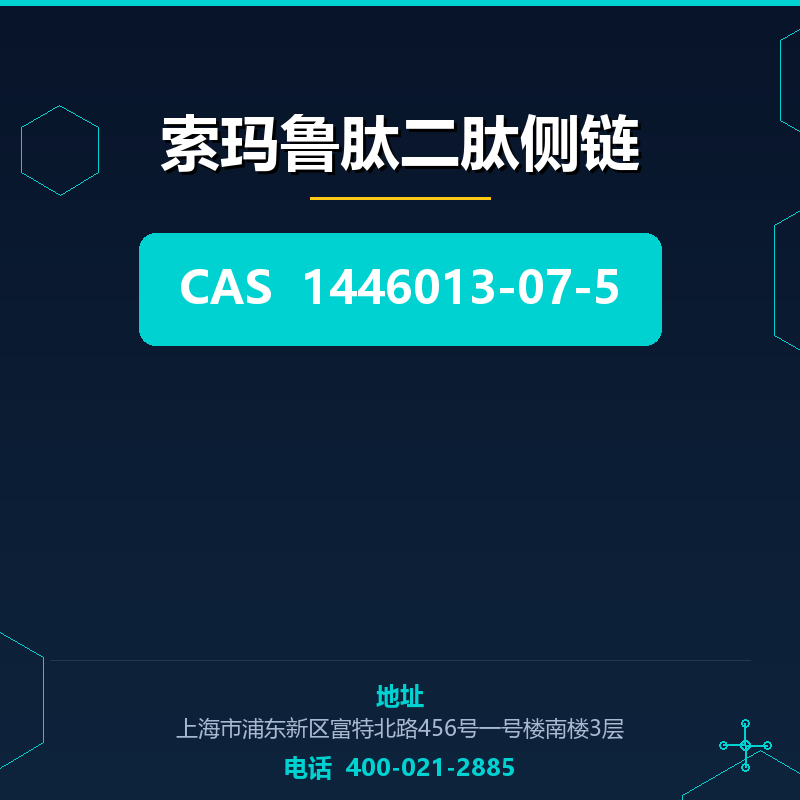 索玛鲁肽二肽侧链 1446013-07-5