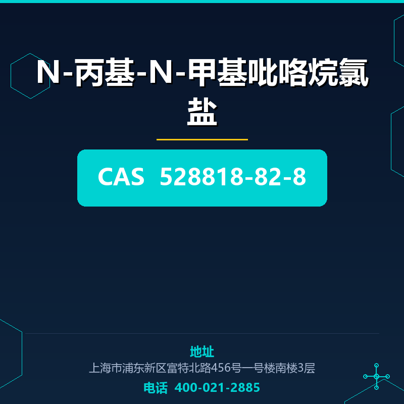 N-丙基-N-甲基吡咯烷氯盐 528818-82-8