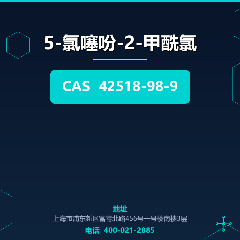 5-氯噻吩-2-甲酰氯 42518-98-9