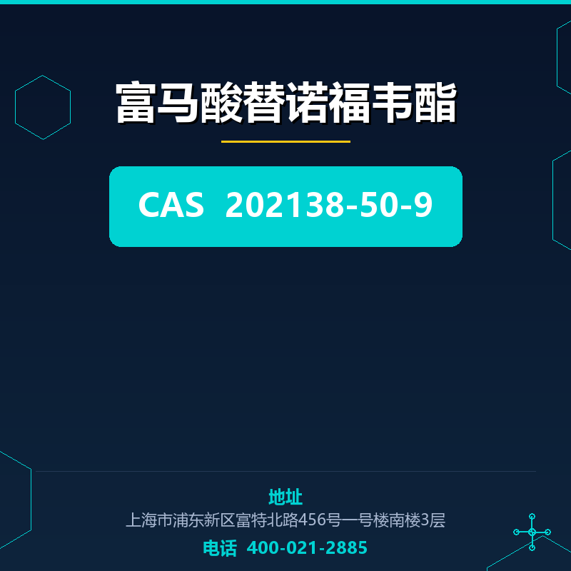 富马酸替诺福韦酯 202138-50-9